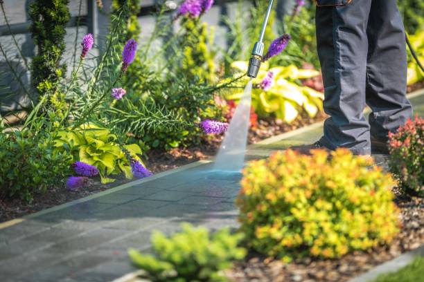Best Restaurant Pressure Washing  in Lancaster, SC